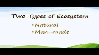 Natural and Man-made Ecosystems