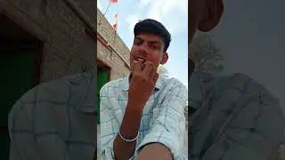 #bollywood #song #movie #music #save #entertainment #mornigvibes #minivlog #christmashumor #vlog