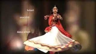 Kalasri Dance School and Dance Ensemble at Festival of India, Switzerland 2015
