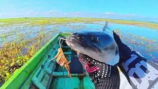 Hard Pulling With Big Fish!🎣 #fishing