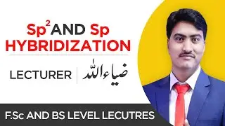 sp2 and sp Hybridization (Explained step-by-step) | Organic Chemistry
