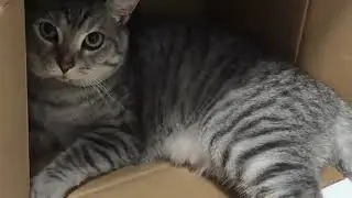 xiao nuo so cute🥰