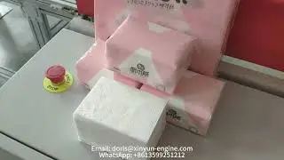 Automatic Transfer Soft Plastic Film Facial Tissue Paper Production Line in the Middle East