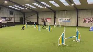 Pure Agility &bull; 18/12/2023