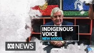 Coalition announces plan for Indigenous voice to government | ABC News