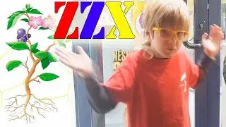 ZONA ZAPPING XEVI 4 (BOTIGA PLANTES DIVERSION)