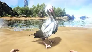 #ASA | How to Easy Tame A Ichthyornis & Taming Foods | Singleplayer Gameplay #44 | Asus Rog Ally |