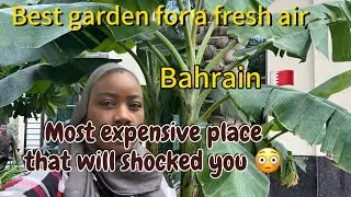 Explored in the most expensive place area in Bahrain 🇧🇭 that will shocked #channel #youtubechannel