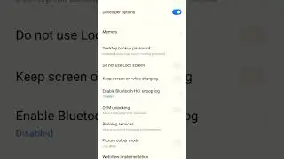 Developer Mode I Pointer Location