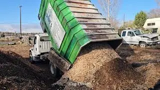 Ферма семьи Грэм, северо-запад: доставка древесной щепы компанией Uribe's Tree Service.