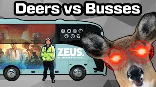 Deers vs Bus (the deer always wins)