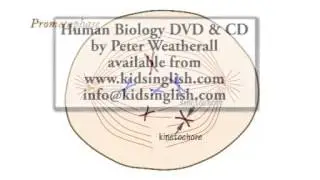 Mitosis Music Video by Peter Weatherall www icyvideo com