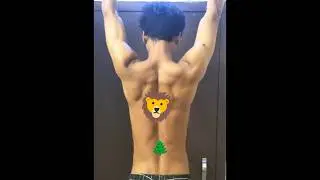 Gym Progress Day by Day &ndash; Results You Can See #workoutmotivation