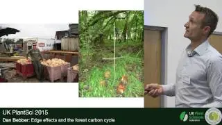 Dan Bebber. Edge effects and the forest carbon cycle