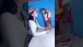 Monkey 🐒 kiss mom