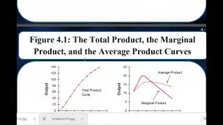 Production function - Labour Economics