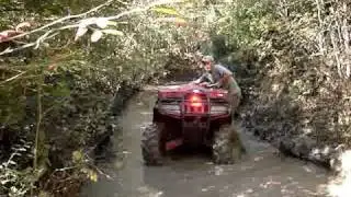 MOV00470