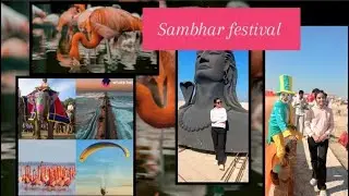 A day at Sambhar festival 😀 #sambhar #lake #festival #flemingo 