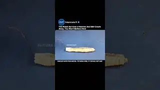 Meshworm: Soft Robot That Moves Like an Earthworm | MIT, Harvard & Seoul National University #robot