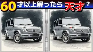 A193【間違い探しクイズ】3問できたら脳年齢20才！【無料レクリエーション】#脳トレ#高齢者#認知症予防#頭の体操
