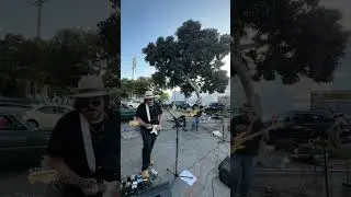CRAWLING KINGSNAKE  in Long Beach, CA
