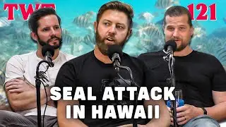 Woman Attacked By Seal in Hawaii - The Wild Times Ep. 121