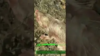 Fallout 4 Combat At Its Finest #fallout4 #vats #shorts