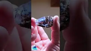 #stone #stones #stoneid #freestone #stoneapp #rockid #rockapp #rockfinder #CrystalGuide