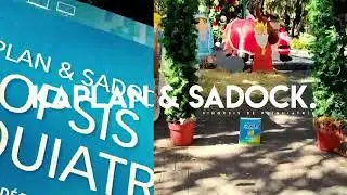 Kaplan & Sadock. Sinopsis de Psiquiatr&iacute;a
