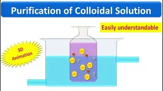 Class 12 Chemistry Surface Chemistry Purification of Colloidal Solution Explanation Animation