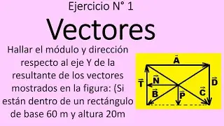 Vectores N ° 1 Física Universitaria