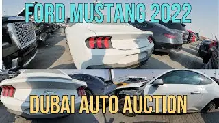 Ford Mustang Dubai sale cheap price - American Muscle Car Copart USA
