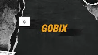 GOBIX-INTRODUCTION