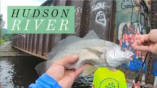 Fishing the Hudson River Drainage for Whatever Bites, Hudson Valley NY