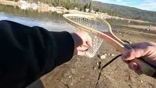 Bass Lake Trout Fishing 2026