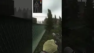ЧТО НЕ ТАК С ГУНАМИ В PVE | Escape from Tarkov #battlestategames #twitch #bsg