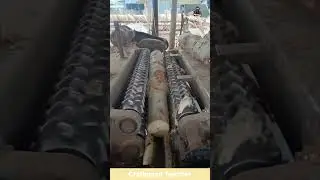 Wood Log Debarking and Shaping Process #shorts