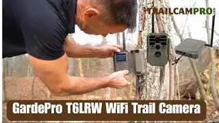 Wi-Fi! Нет сотовой связи! Бесплатный тариф! Беспроводная фотоловушка GardePro T6LRW!