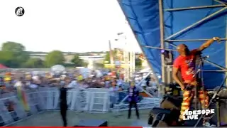 Shopsy doo &ldquo;Day in a Life&rdquo; at ZIMFEST