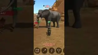 The Wolf 🐺 Best Gameplay #new #games #blackwolf #gamer #viral #gaming #shorts #short #best #trending