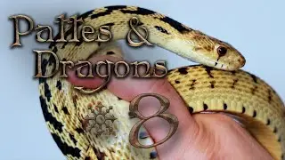 PERRUCHONS, CRÉATURE ÉTRANGE et MAUVAISE NOUVELLE - Pattes & Dragons #8