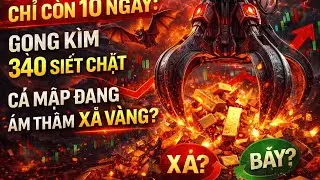 Đừng Mua Vàng Trước 11 Ngày Tới Nếu Bạn Chưa Nghe Điều Này…| Bí Quyết Làm Giàu