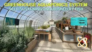Fish Feed the Plants in our Greenhouse!