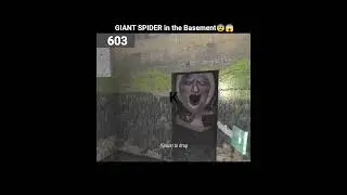 😱 I Found GRANNY&rsquo;s GIANT SPIDER in the Basement! | Horror Game #granny #grannyspider #horrorgame