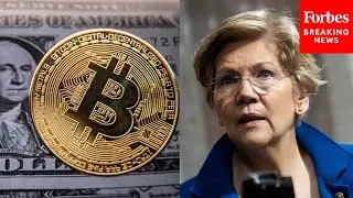 'Turns Out, It Was Not So Stable': Warren Discusses Massive Crypto Crash