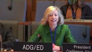 Transforming Education Pre‐Summit side meeting: French
