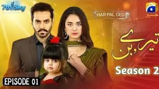 Ymna zadi with whaj Ali officially tere bin drama season 2