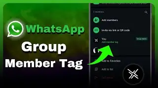 Как добавить отметку участника в группу WhatsApp (новая функция)?