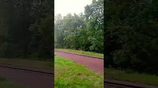 De 44 1593-1 naar beekbegen