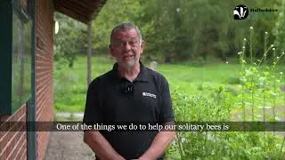 Kickstart Nature&rsquo;s Recovery at Highgate Common